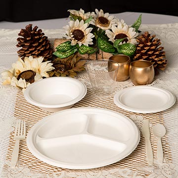 Biodegradable Plates and Silverware