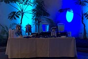 Beverages : San Diego Catering